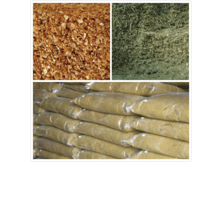 1503039250914244.png 未标题-1.png